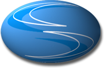Satin Logo